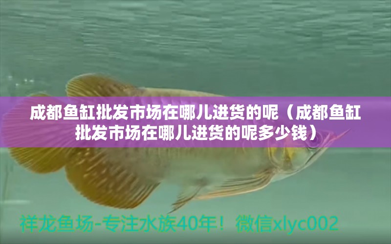 成都魚缸批發(fā)市場(chǎng)在哪兒進(jìn)貨的呢（成都魚缸批發(fā)市場(chǎng)在哪兒進(jìn)貨的呢多少錢）