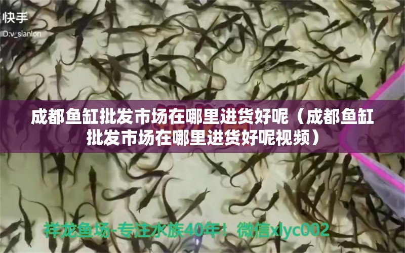 成都魚缸批發(fā)市場(chǎng)在哪里進(jìn)貨好呢（成都魚缸批發(fā)市場(chǎng)在哪里進(jìn)貨好呢視頻）