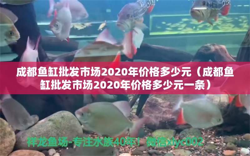 成都魚缸批發(fā)市場(chǎng)2020年價(jià)格多少元（成都魚缸批發(fā)市場(chǎng)2020年價(jià)格多少元一條）