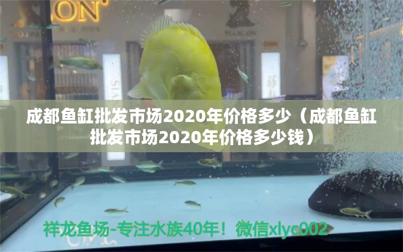 成都魚缸批發(fā)市場(chǎng)2020年價(jià)格多少（成都魚缸批發(fā)市場(chǎng)2020年價(jià)格多少錢）