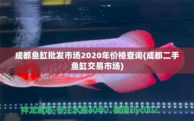 成都魚(yú)缸批發(fā)市場(chǎng)2020年價(jià)格查詢(xún)(成都二手魚(yú)缸交易市場(chǎng)) 電鰻