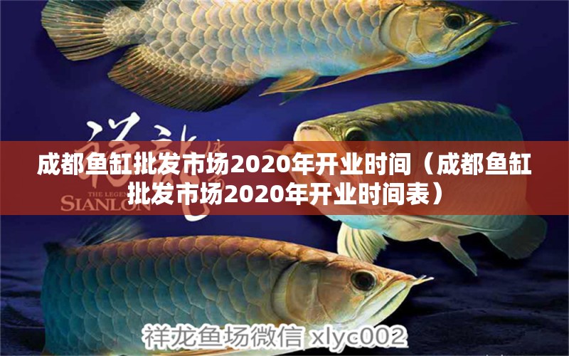 成都魚缸批發(fā)市場(chǎng)2020年開業(yè)時(shí)間（成都魚缸批發(fā)市場(chǎng)2020年開業(yè)時(shí)間表）