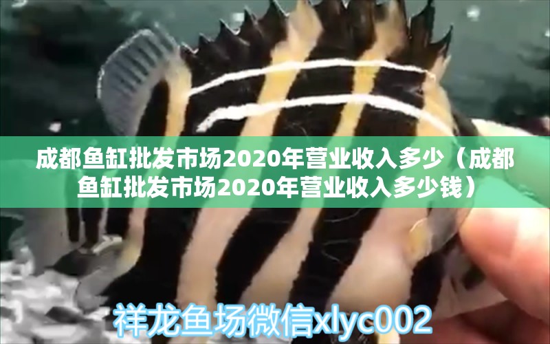 成都魚缸批發(fā)市場(chǎng)2020年?duì)I業(yè)收入多少（成都魚缸批發(fā)市場(chǎng)2020年?duì)I業(yè)收入多少錢）