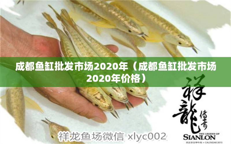 成都魚缸批發(fā)市場(chǎng)2020年（成都魚缸批發(fā)市場(chǎng)2020年價(jià)格）