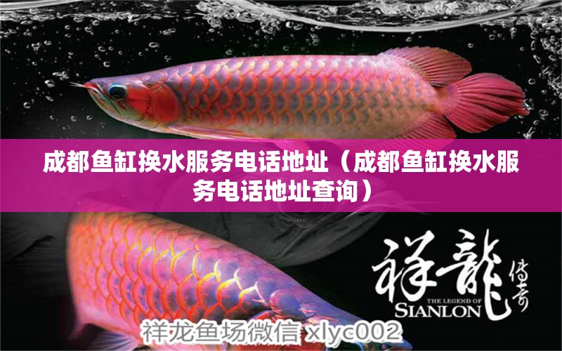 成都魚缸換水服務(wù)電話地址（成都魚缸換水服務(wù)電話地址查詢）