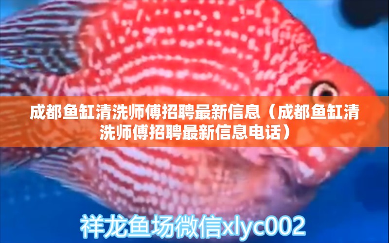 成都魚(yú)缸清洗師傅招聘最新信息（成都魚(yú)缸清洗師傅招聘最新信息電話） 祥龍水族醫(yī)院