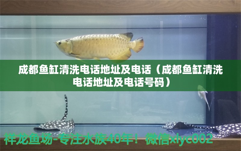 成都魚缸清洗電話地址及電話（成都魚缸清洗電話地址及電話號(hào)碼）