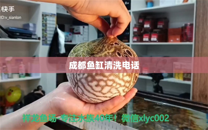 成都魚缸清洗電話