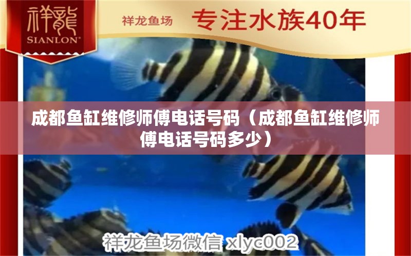 成都魚(yú)缸維修師傅電話號(hào)碼（成都魚(yú)缸維修師傅電話號(hào)碼多少）