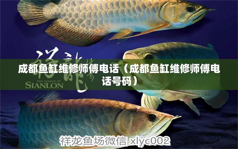 成都魚缸維修師傅電話（成都魚缸維修師傅電話號碼）