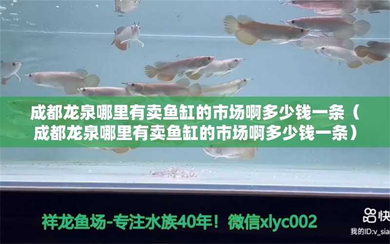 成都龍泉哪里有賣魚缸的市場啊多少錢一條（成都龍泉哪里有賣魚缸的市場啊多少錢一條）