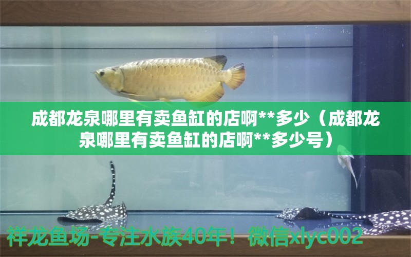 成都龍泉哪里有賣魚缸的店啊**多少（成都龍泉哪里有賣魚缸的店啊**多少號(hào)） 祥龍水族醫(yī)院