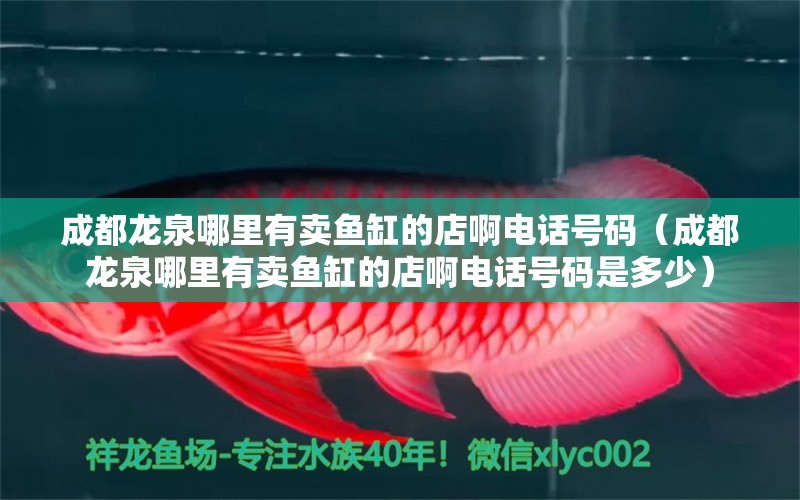 成都龍泉哪里有賣魚缸的店啊電話號碼（成都龍泉哪里有賣魚缸的店啊電話號碼是多少） 申古三間魚