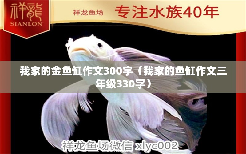 我家的金魚缸作文300字（我家的魚缸作文三年級330字）