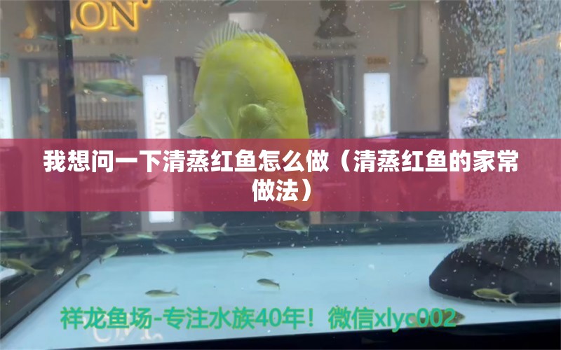 我想問一下清蒸紅魚怎么做（清蒸紅魚的家常做法） 廣州龍魚批發(fā)市場