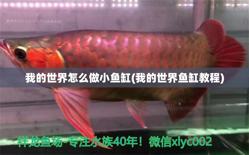 我的世界怎么做小魚缸(我的世界魚缸教程) 慈雕魚