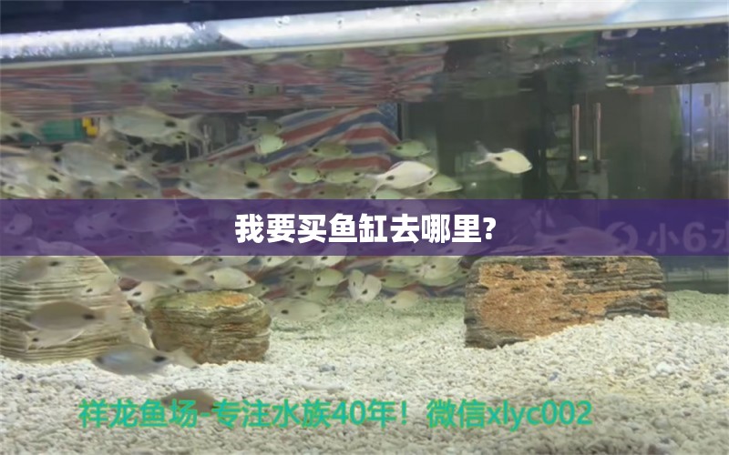 我要買魚缸去哪里?