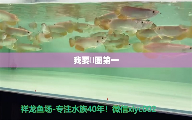 我要魟圈第一 觀賞魚市場