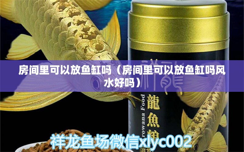 房間里可以放魚缸嗎（房間里可以放魚缸嗎風(fēng)水好嗎） 魚缸風(fēng)水