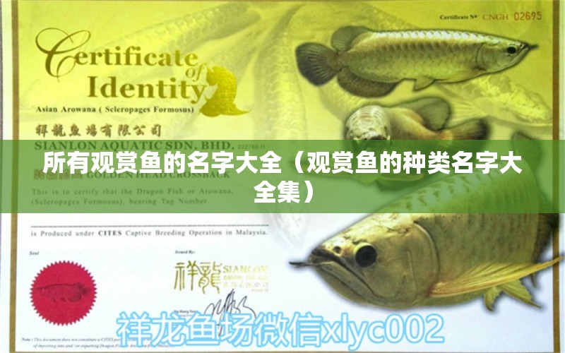 所有觀賞魚的名字大全（觀賞魚的種類名字大全集）