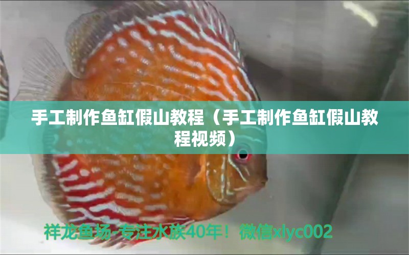 手工制作魚缸假山教程（手工制作魚缸假山教程視頻）