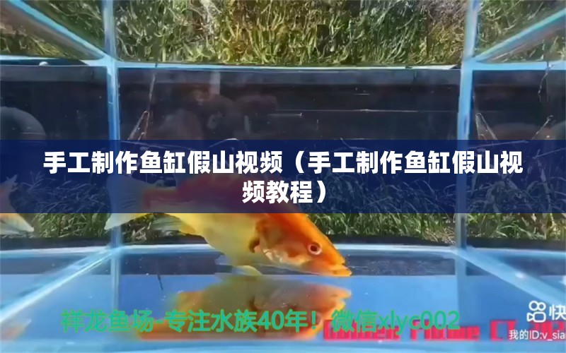 手工制作魚缸假山視頻（手工制作魚缸假山視頻教程）