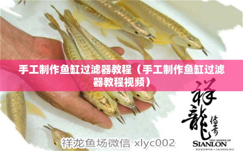 手工制作魚缸過濾器教程（手工制作魚缸過濾器教程視頻）