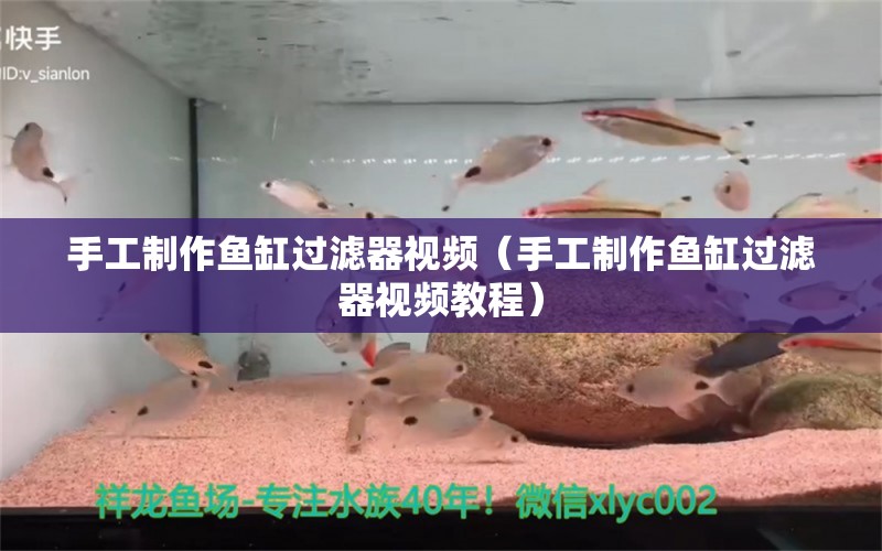 手工制作魚缸過濾器視頻（手工制作魚缸過濾器視頻教程）