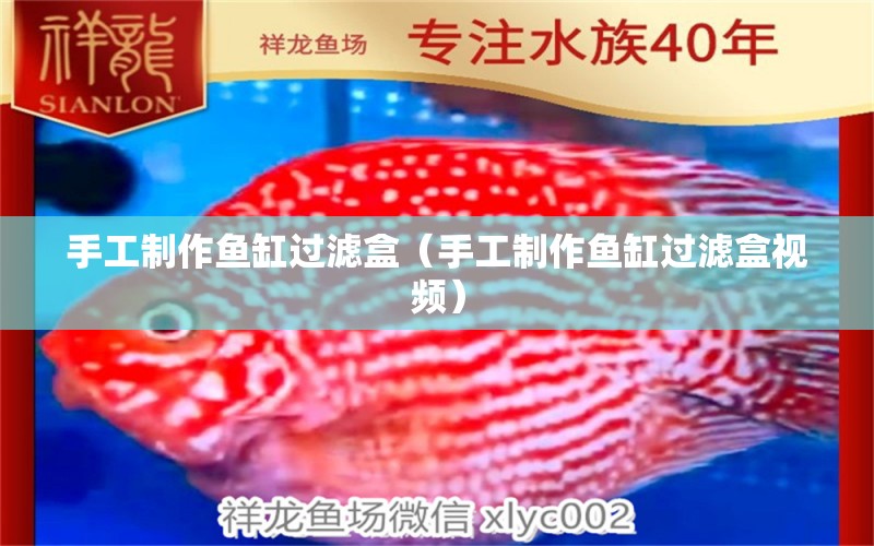 手工制作魚缸過濾盒（手工制作魚缸過濾盒視頻）