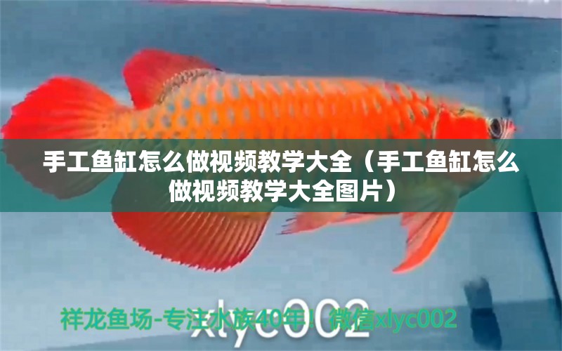 手工魚缸怎么做視頻教學大全（手工魚缸怎么做視頻教學大全圖片） 祥龍水族醫(yī)院