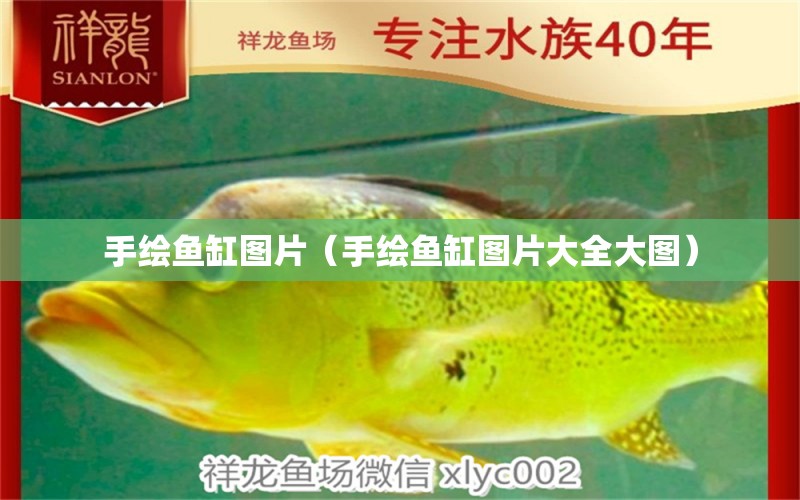 手繪魚缸圖片（手繪魚缸圖片大全大圖）