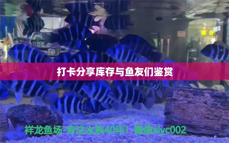 打卡分享庫存與魚友們鑒賞 水族用品