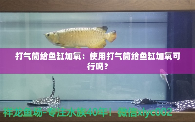 打氣筒給魚缸加氧：使用打氣筒給魚缸加氧可行嗎？ 魚缸百科 第2張