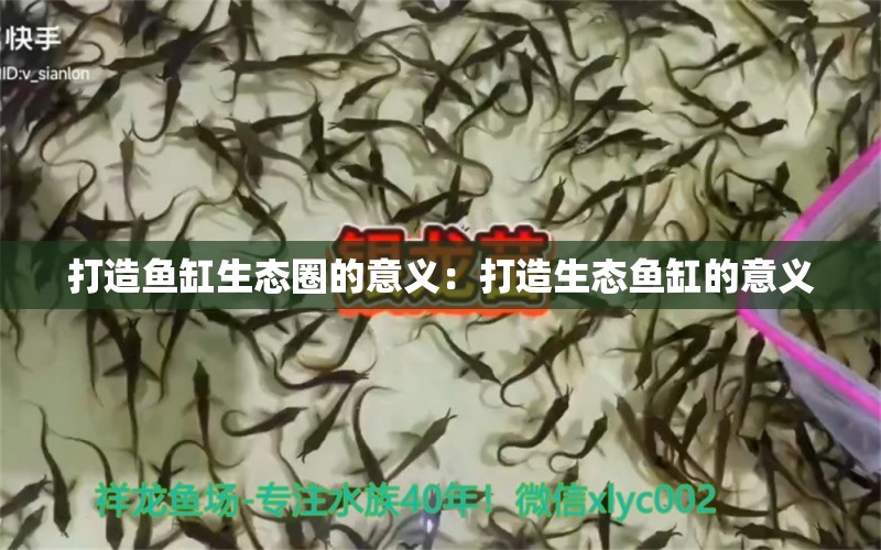 打造魚缸生態(tài)圈的意義：打造生態(tài)魚缸的意義 魚缸百科 第2張