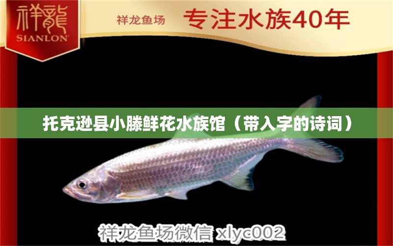 托克遜縣小滕鮮花水族館（帶入字的詩詞）