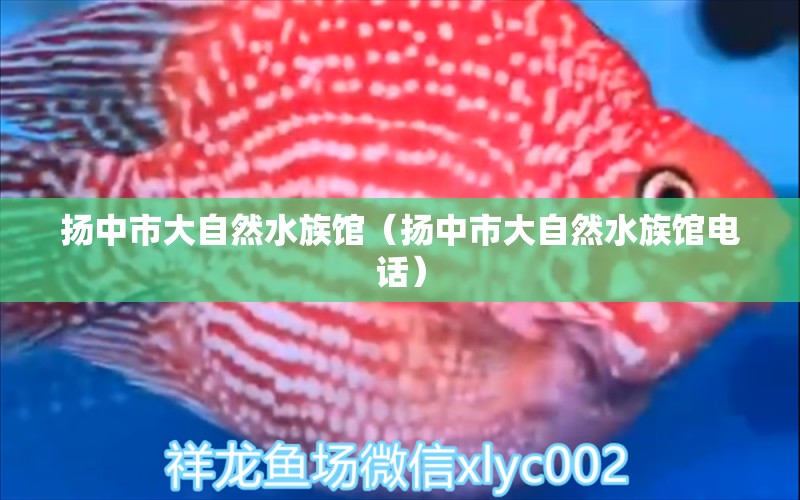 揚(yáng)中市大自然水族館（揚(yáng)中市大自然水族館電話） 全國(guó)水族館企業(yè)名錄