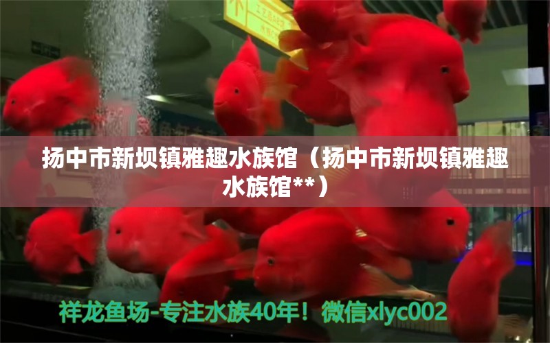 揚(yáng)中市新壩鎮(zhèn)雅趣水族館（揚(yáng)中市新壩鎮(zhèn)雅趣水族館**）