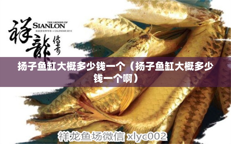 揚子魚缸大概多少錢一個（揚子魚缸大概多少錢一個?。?其他品牌魚缸