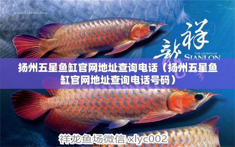 揚(yáng)州五星魚缸官網(wǎng)地址查詢電話（揚(yáng)州五星魚缸官網(wǎng)地址查詢電話號(hào)碼）