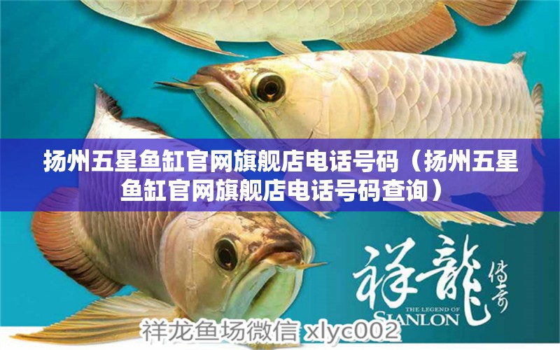 揚(yáng)州五星魚(yú)缸官網(wǎng)旗艦店電話號(hào)碼（揚(yáng)州五星魚(yú)缸官網(wǎng)旗艦店電話號(hào)碼查詢）