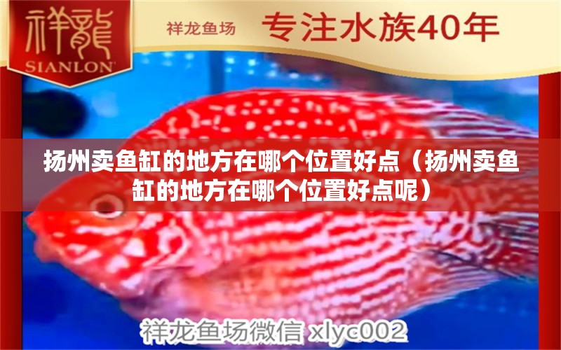 揚(yáng)州賣魚缸的地方在哪個位置好點（揚(yáng)州賣魚缸的地方在哪個位置好點呢） 其他品牌魚缸