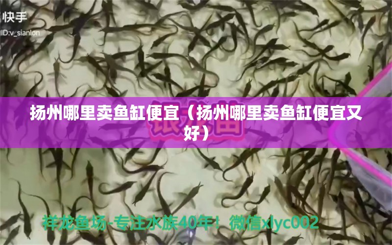 揚(yáng)州哪里賣魚缸便宜（揚(yáng)州哪里賣魚缸便宜又好） 其他品牌魚缸