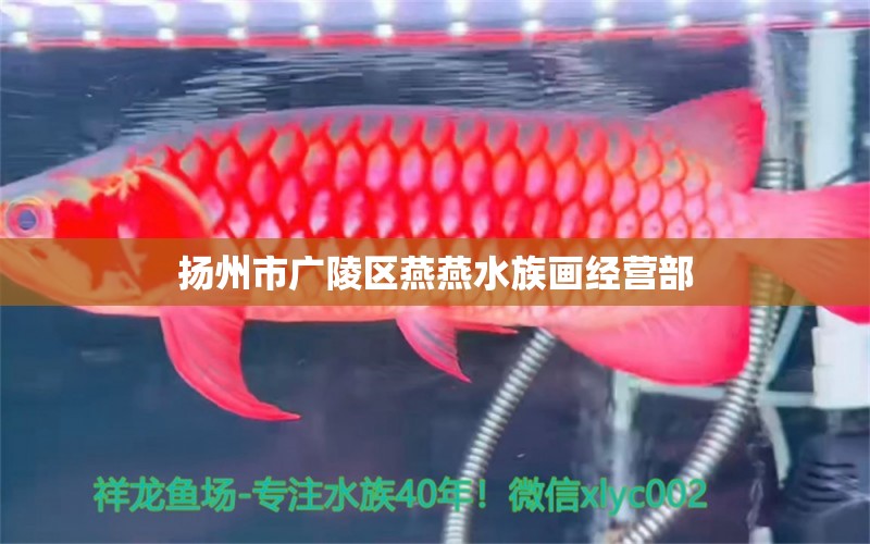 揚(yáng)州市廣陵區(qū)燕燕水族畫經(jīng)營部