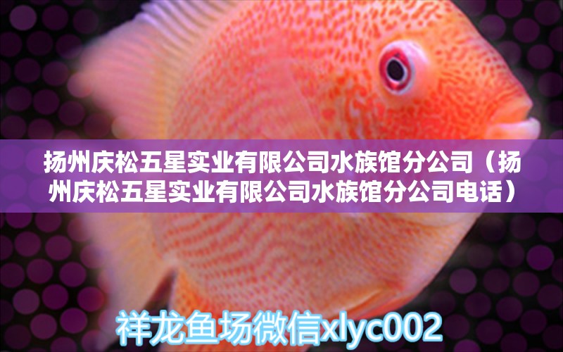 揚(yáng)州慶松五星實(shí)業(yè)有限公司水族館分公司（揚(yáng)州慶松五星實(shí)業(yè)有限公司水族館分公司電話）