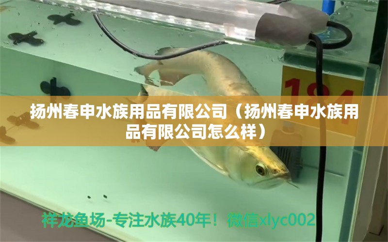 揚州春申水族用品有限公司（揚州春申水族用品有限公司怎么樣） 水族用品