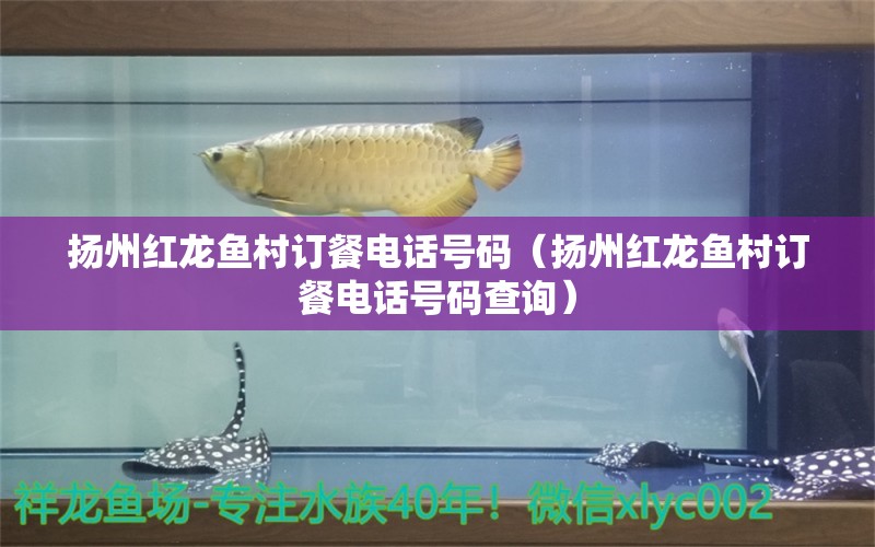 揚州紅龍魚村訂餐電話號碼（揚州紅龍魚村訂餐電話號碼查詢） 觀賞魚市場（混養(yǎng)魚）