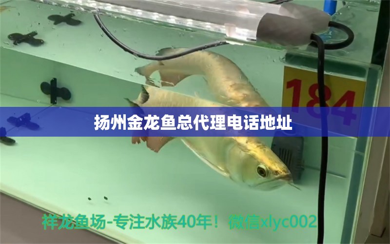 揚州金龍魚總代理電話地址 