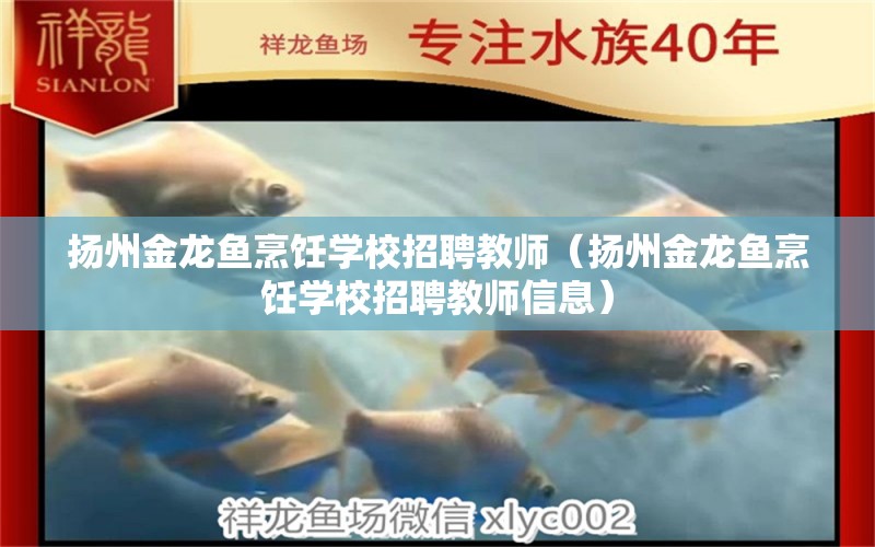 揚州金龍魚烹飪學校招聘教師（揚州金龍魚烹飪學校招聘教師信息）