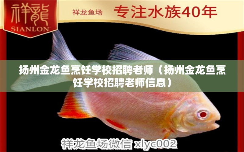 揚州金龍魚烹飪學校招聘老師（揚州金龍魚烹飪學校招聘老師信息）