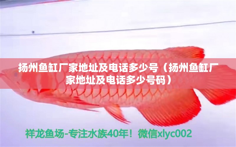 揚州魚缸廠家地址及電話多少號（揚州魚缸廠家地址及電話多少號碼） 其他品牌魚缸